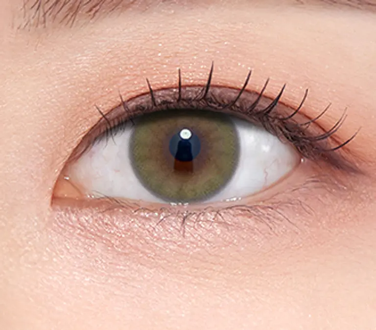 프렌치샤인 원데이 올리브